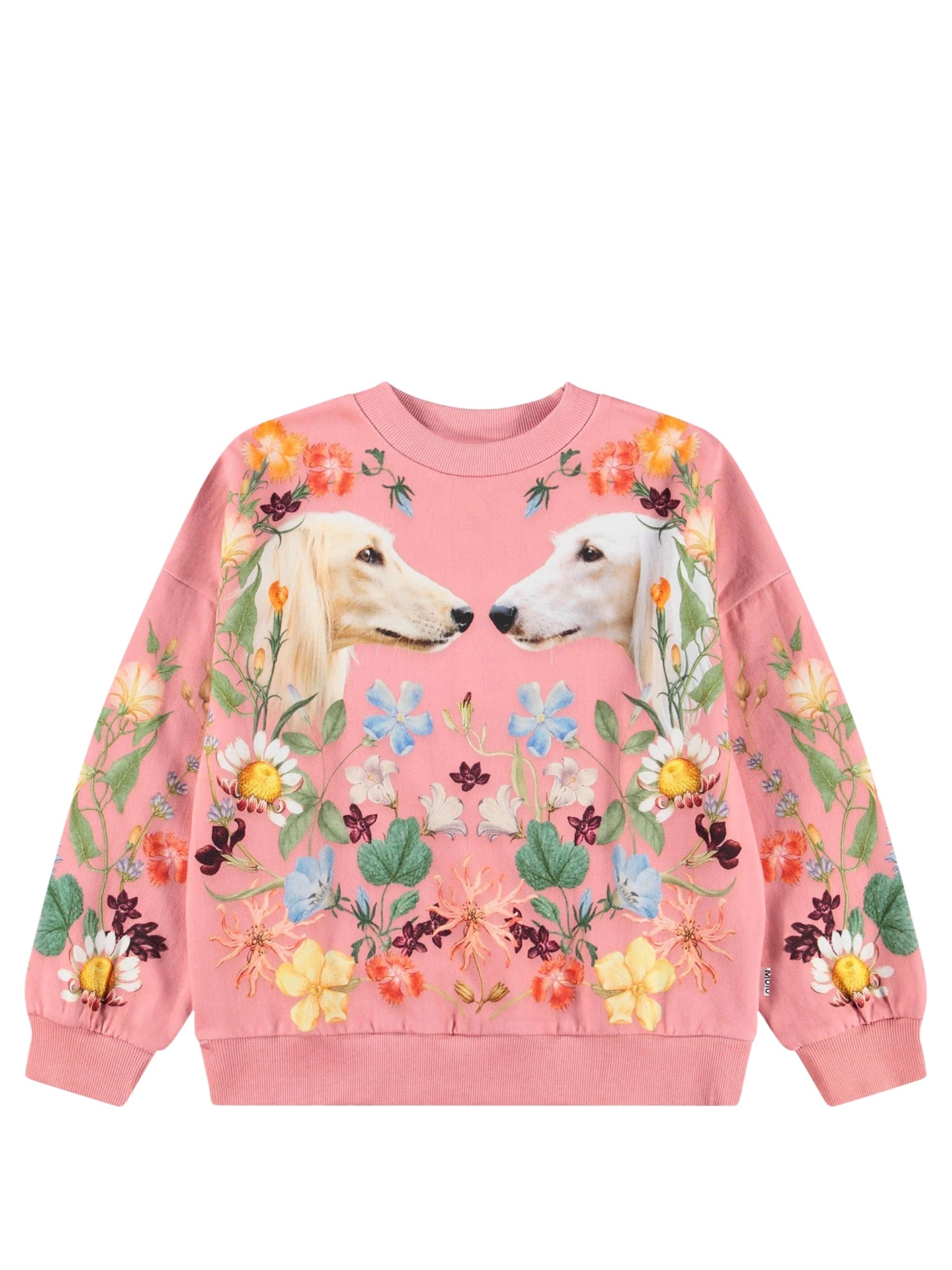 Molo Sweatshirt Afghan Hounds In Beige