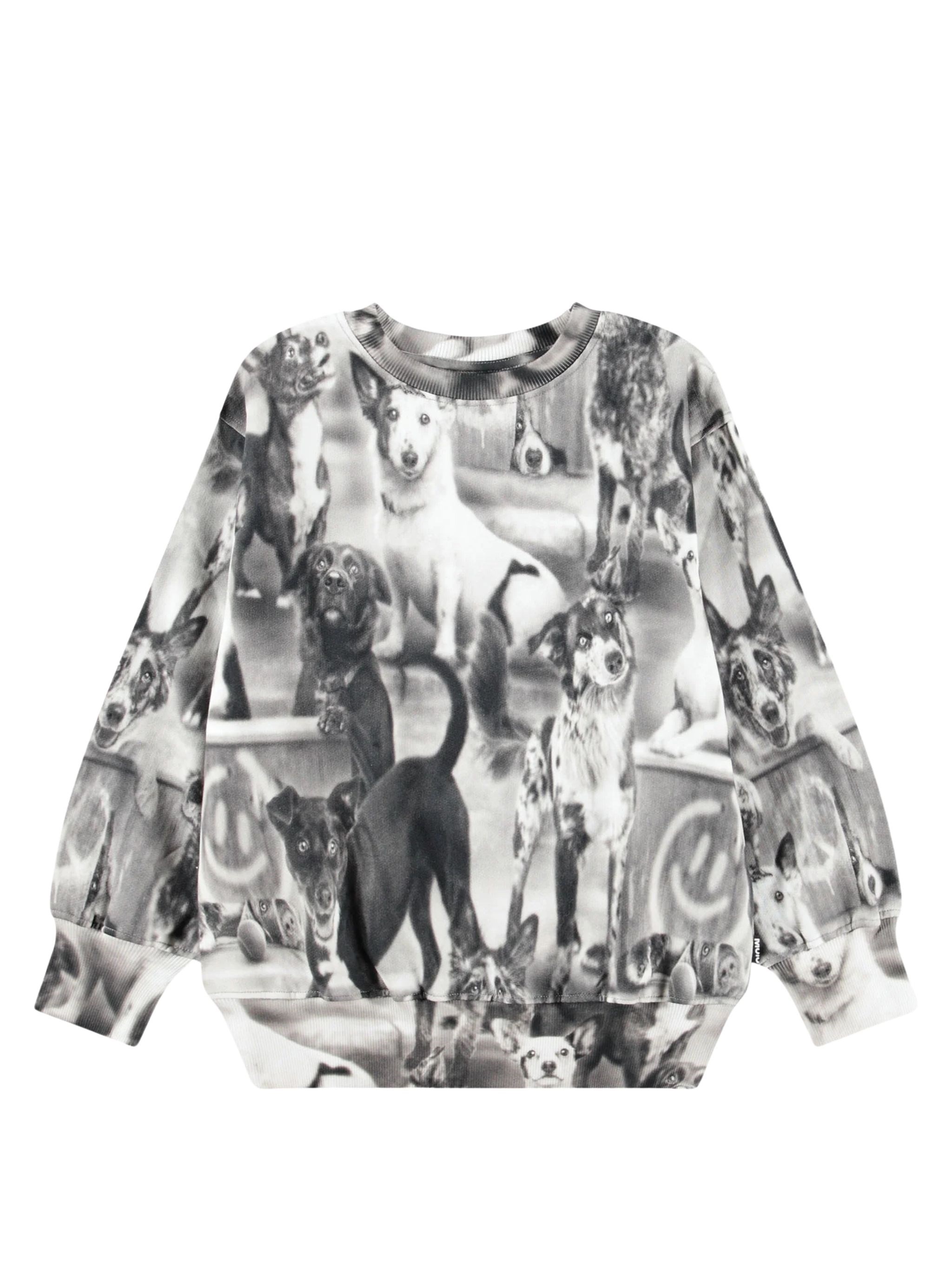 Molo Sweatshirt With Dogs "mattis" In Brown