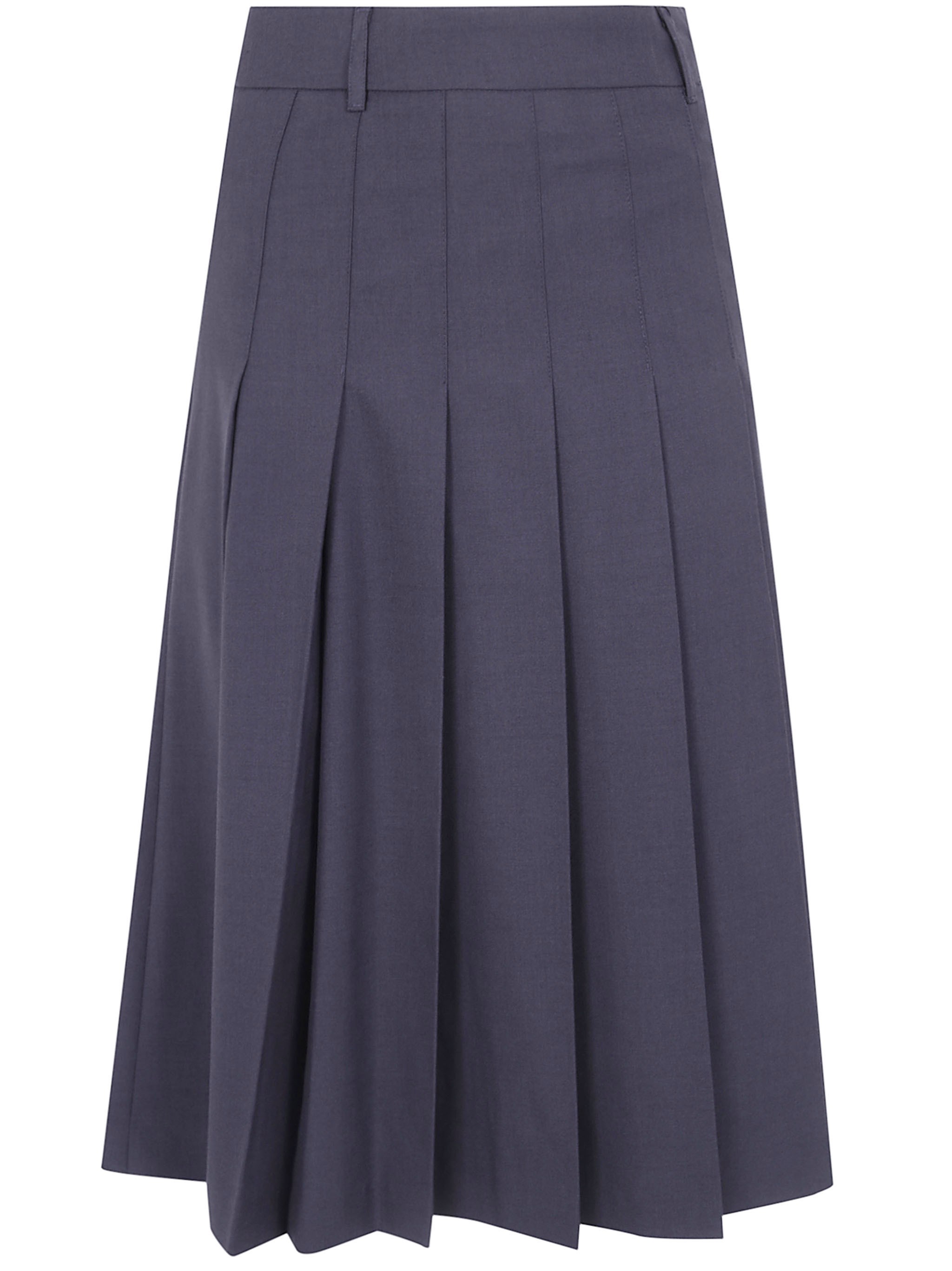 Pleated Long Skirt Pleats Long Skirt