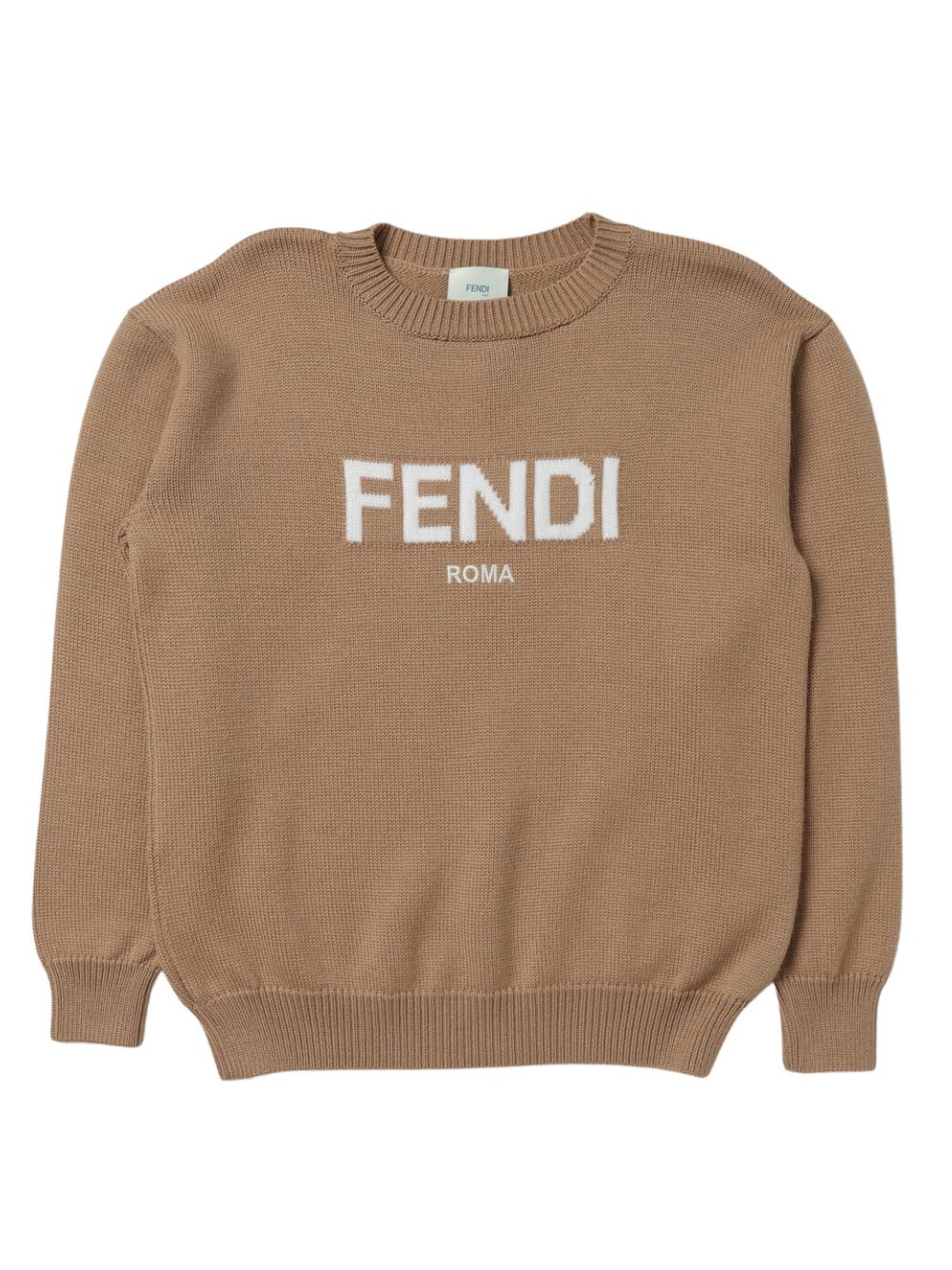 Fendi Kids'  Roma Pullover In Brown